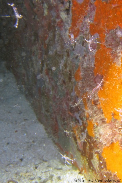 20151211070626IMG_0014_S90