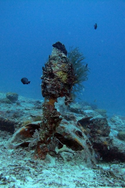 20151211071906IMG_9118_G12