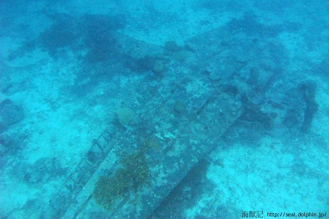 20151211074944IMG_9244_G12