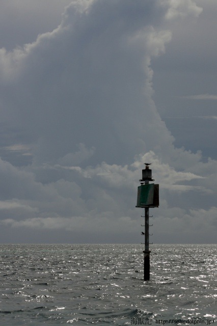 20151211090230IMG_3493_40D