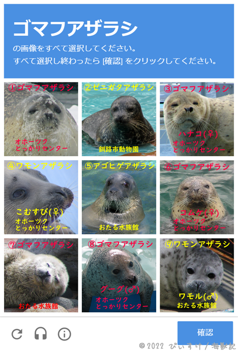 日本近海 北海道沿岸に生息するアザラシ5種の特徴と見分け方 海獣記